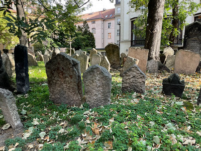 csm Studienfahrt Prag 2 889e1611a0