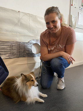 Therapiehund Collin zu Besuch an unserer Schule.
