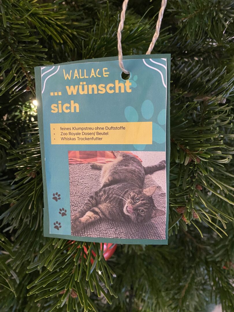 Weihnachten2024 1