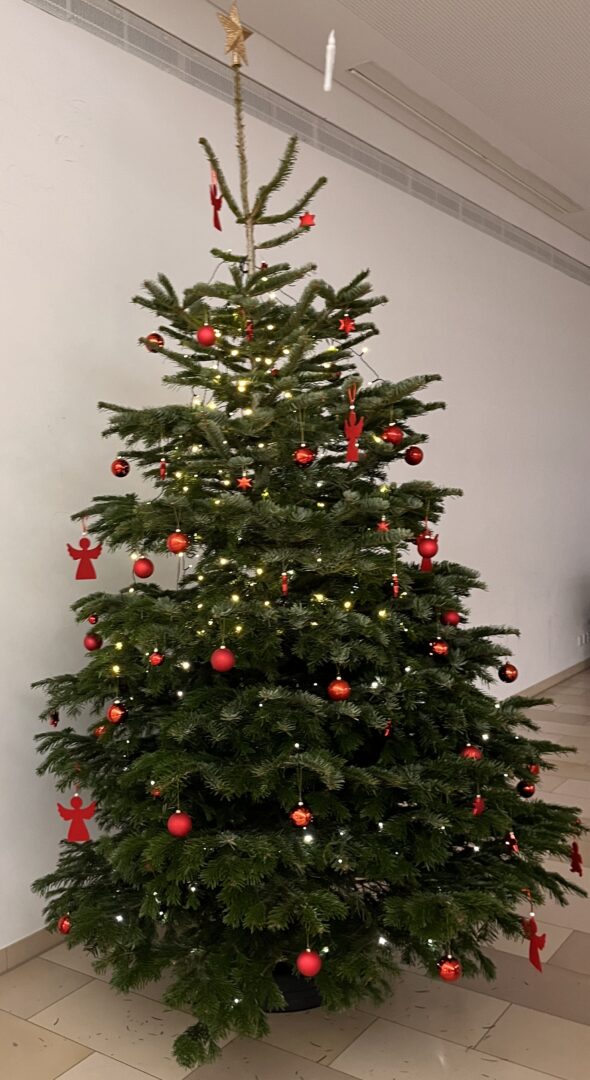 Weihnachten2024 4