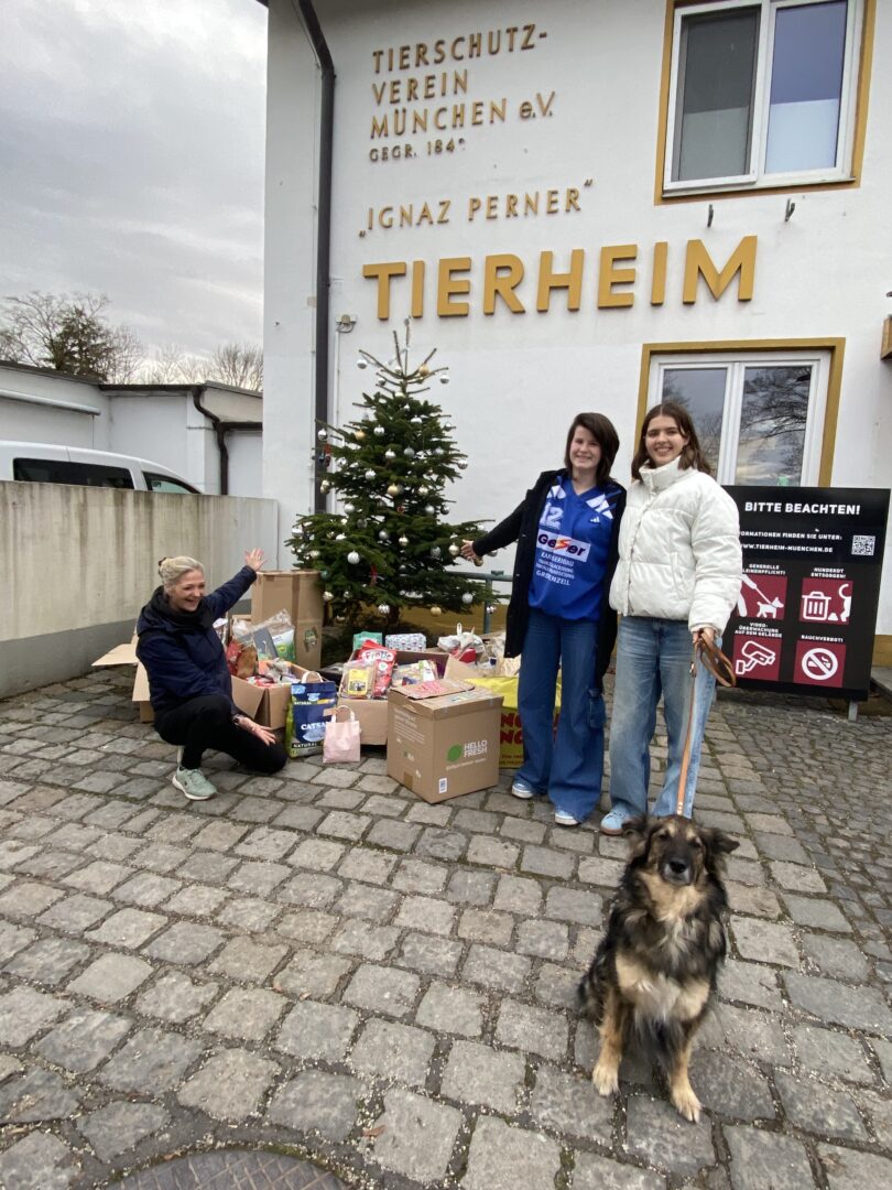 Weihnachten2024 6