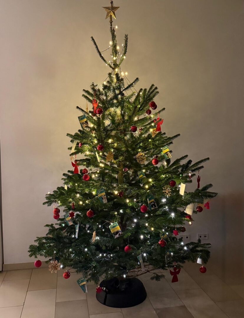Weihnachten25 17