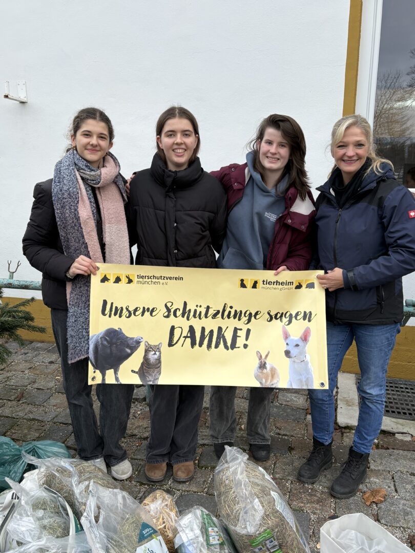 Weihnachten25 6
